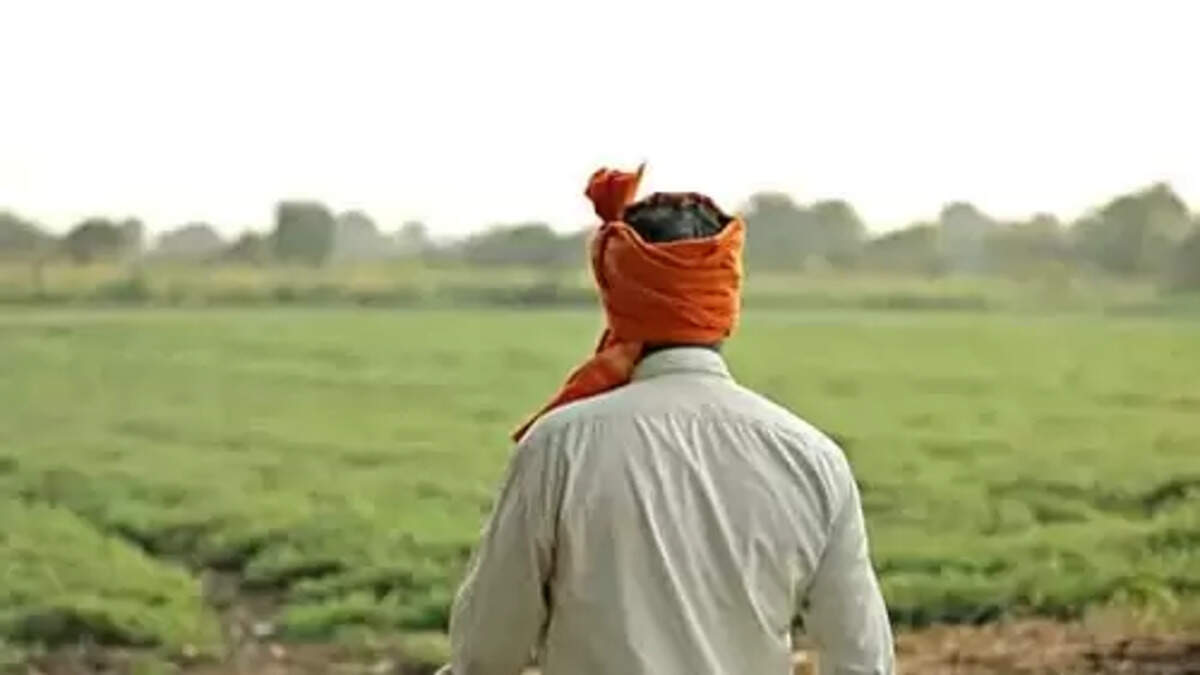 farmer