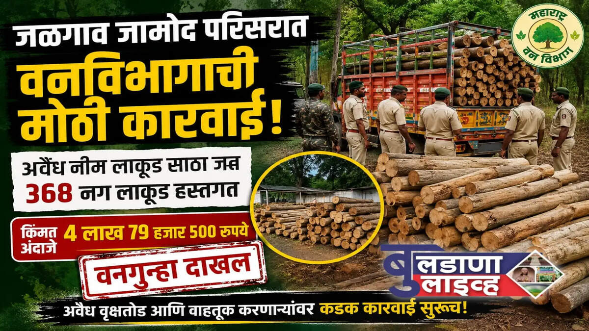 बुलढाणा