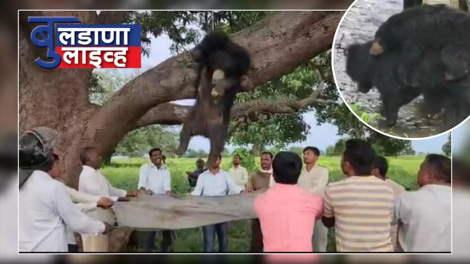 बुलढाणा