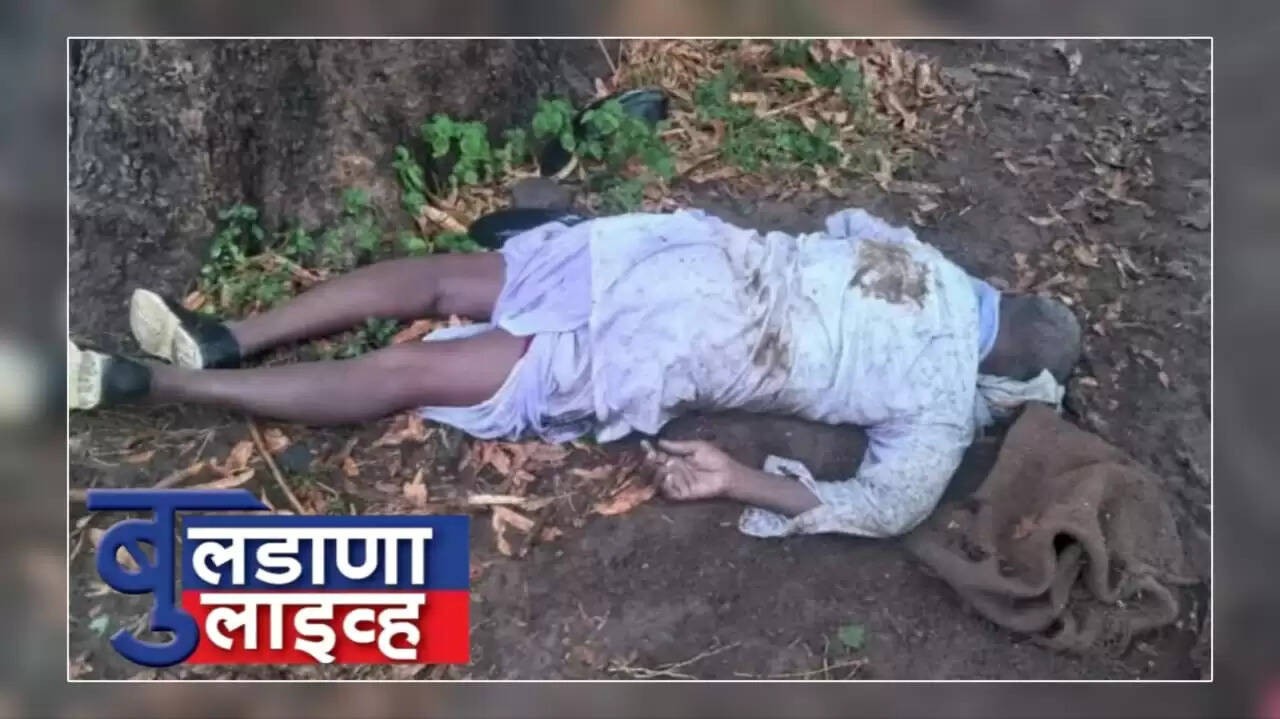 मेहकर