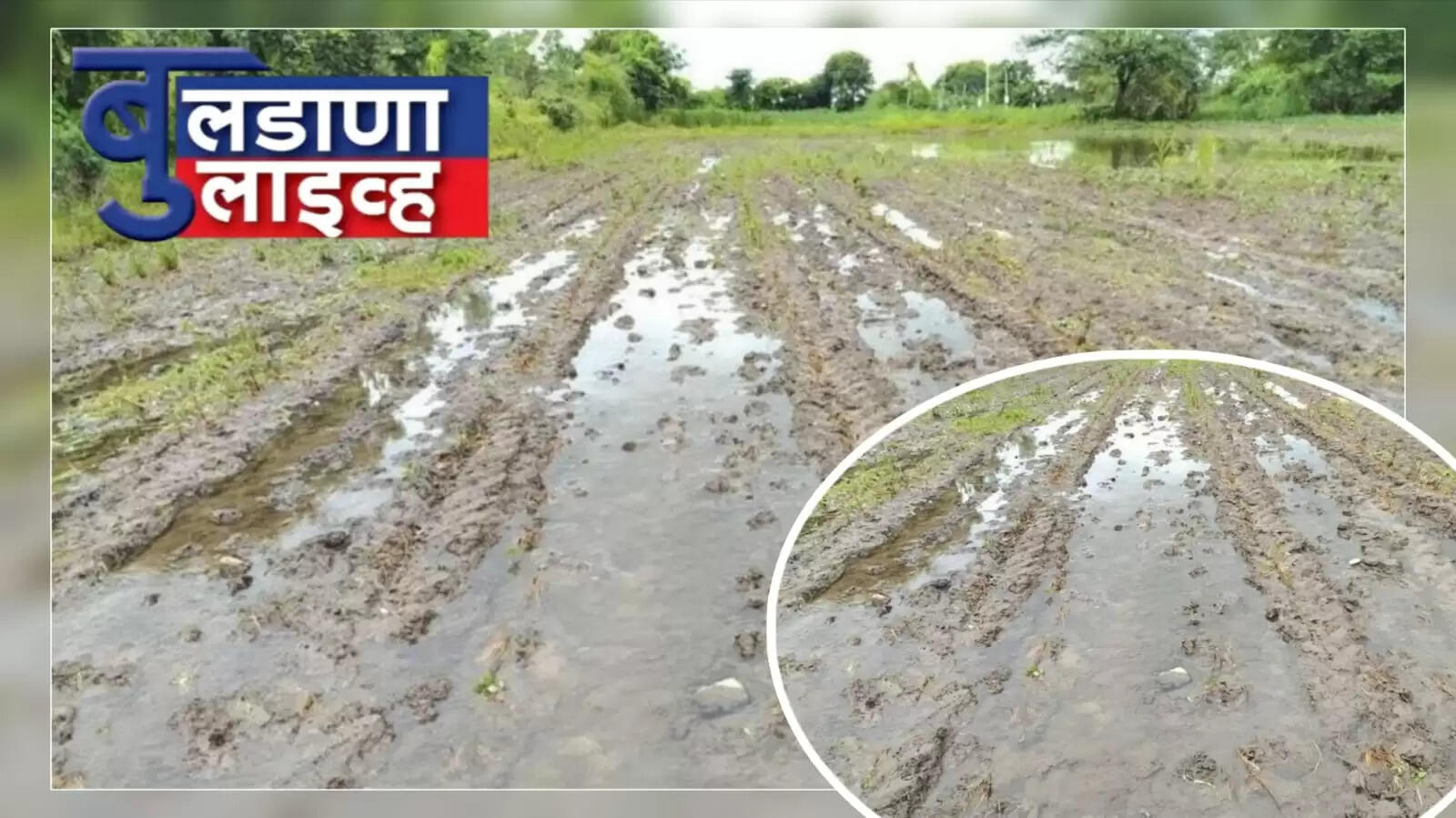 मेहकर 