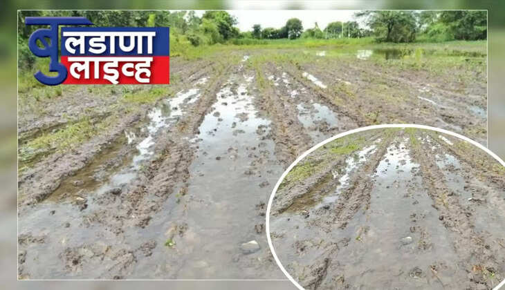 मेहकर 