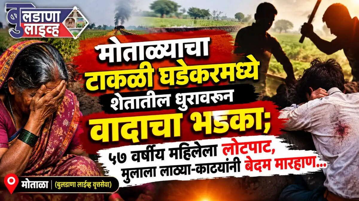 मोताळा 
