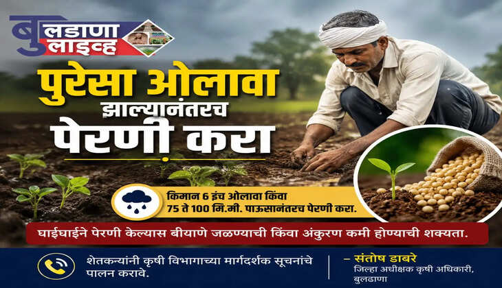 बुलडाणा 