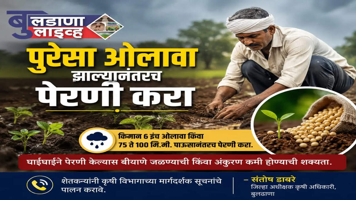 बुलडाणा 