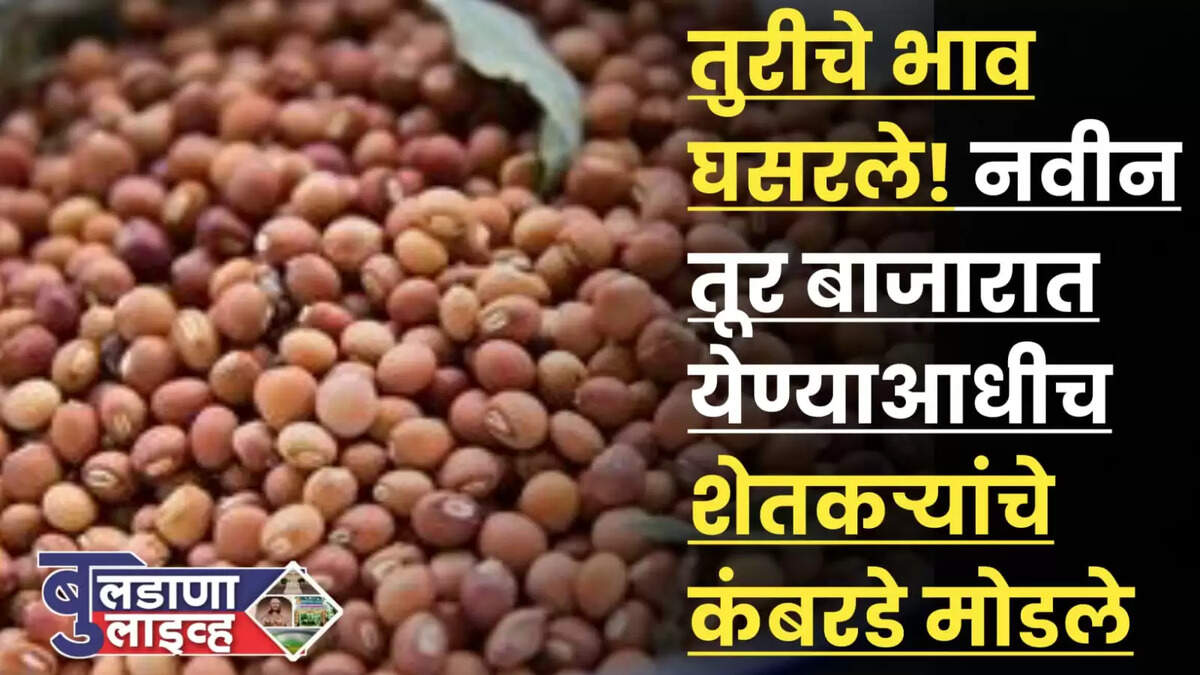 तूर 