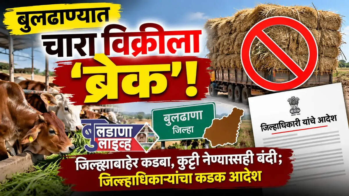बुलडाणा 