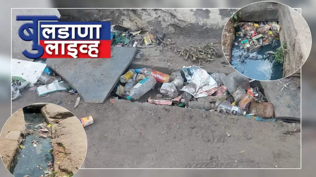 लोणार शहरात घाणीचे साम्राज्य