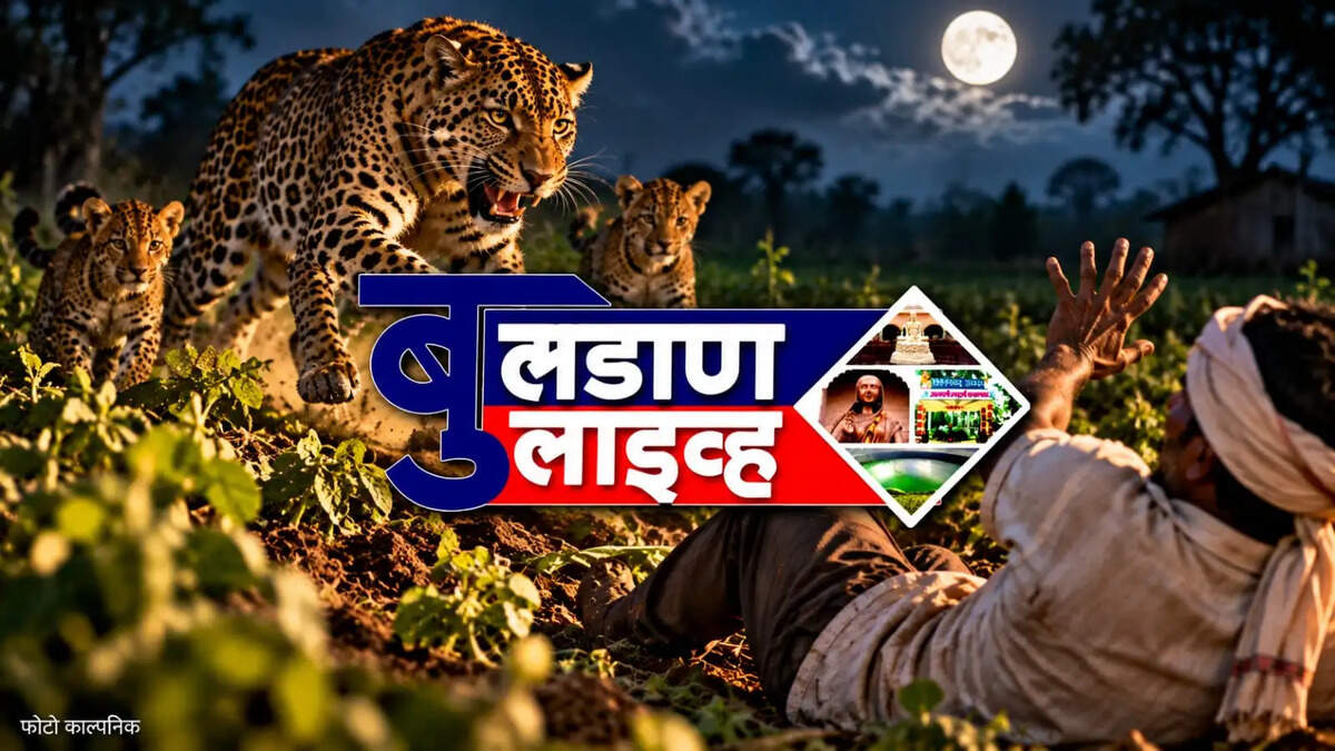 बुलडाणा 