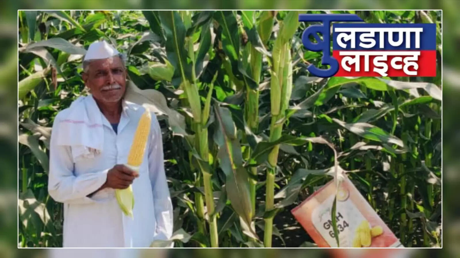 नांदुरा 