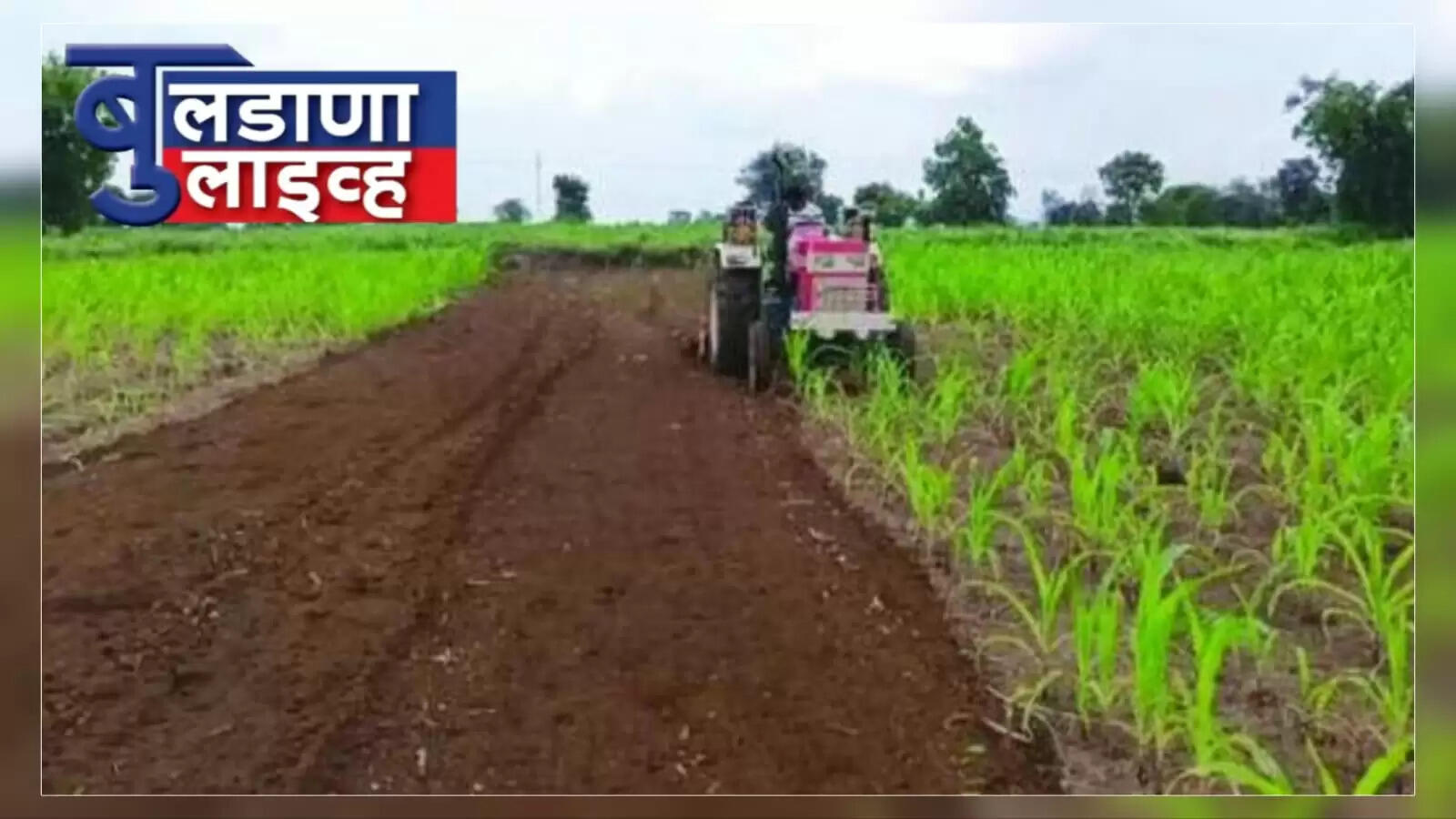 बुलढाणा