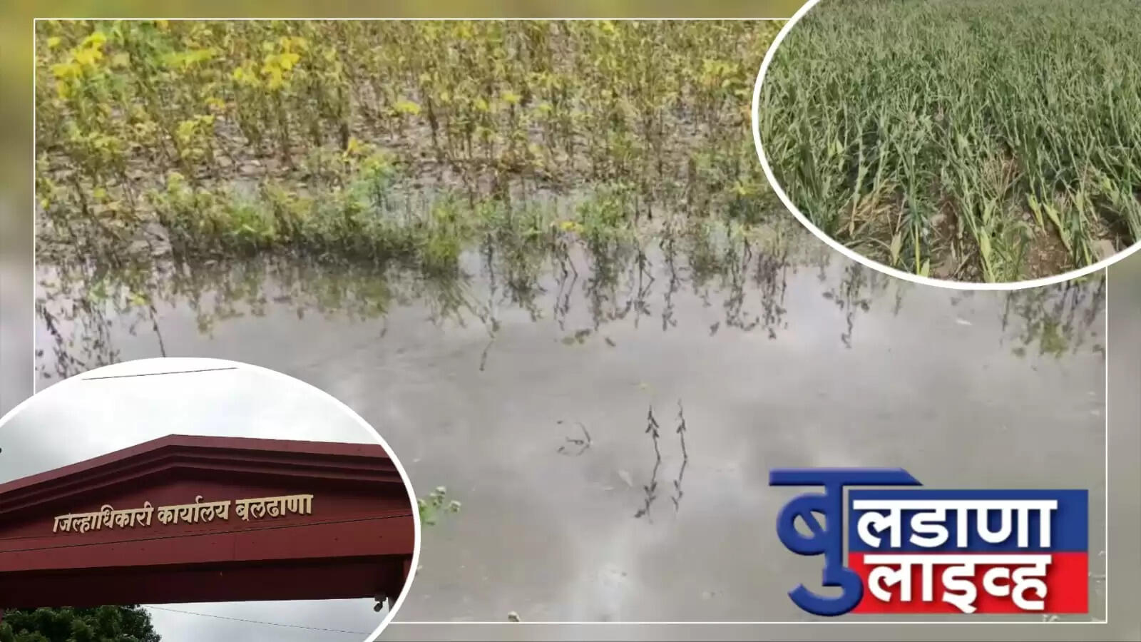 बुलढाणा 