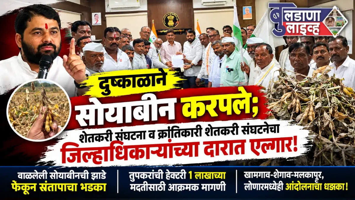 बुलडाणा 