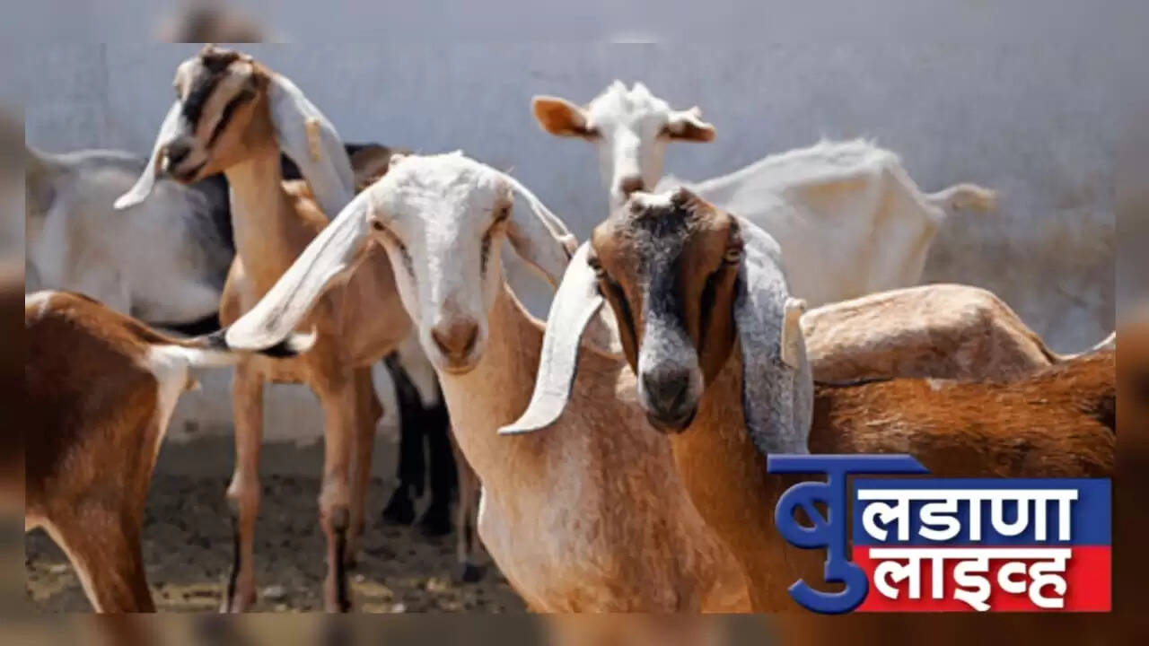 लोणार