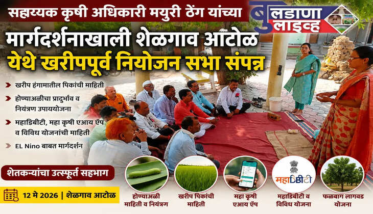 चिखली