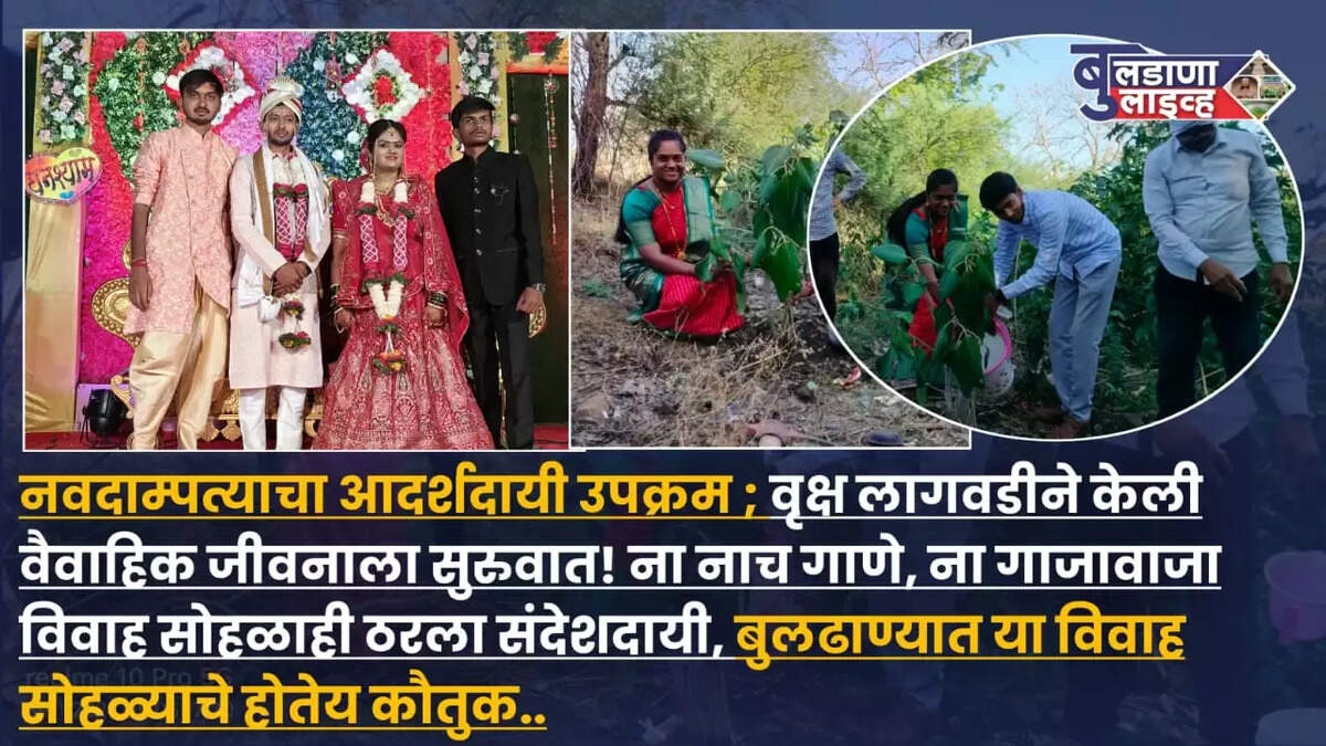 बुलडाणा