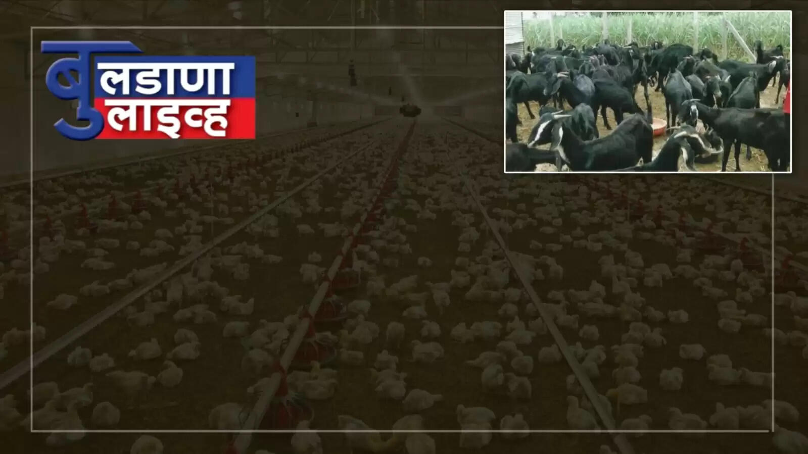 बुलढाणा