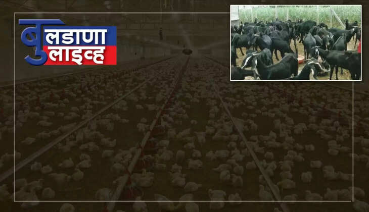 बुलढाणा
