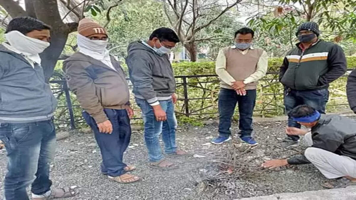 शेकोटी
