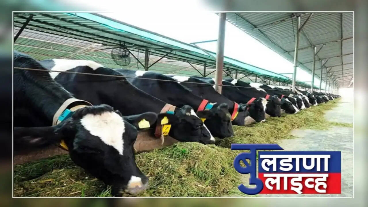 केंद्र 