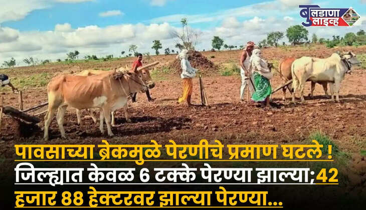 बुलडाणा