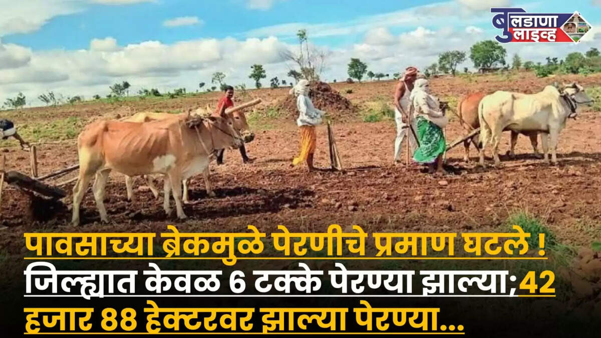 बुलडाणा