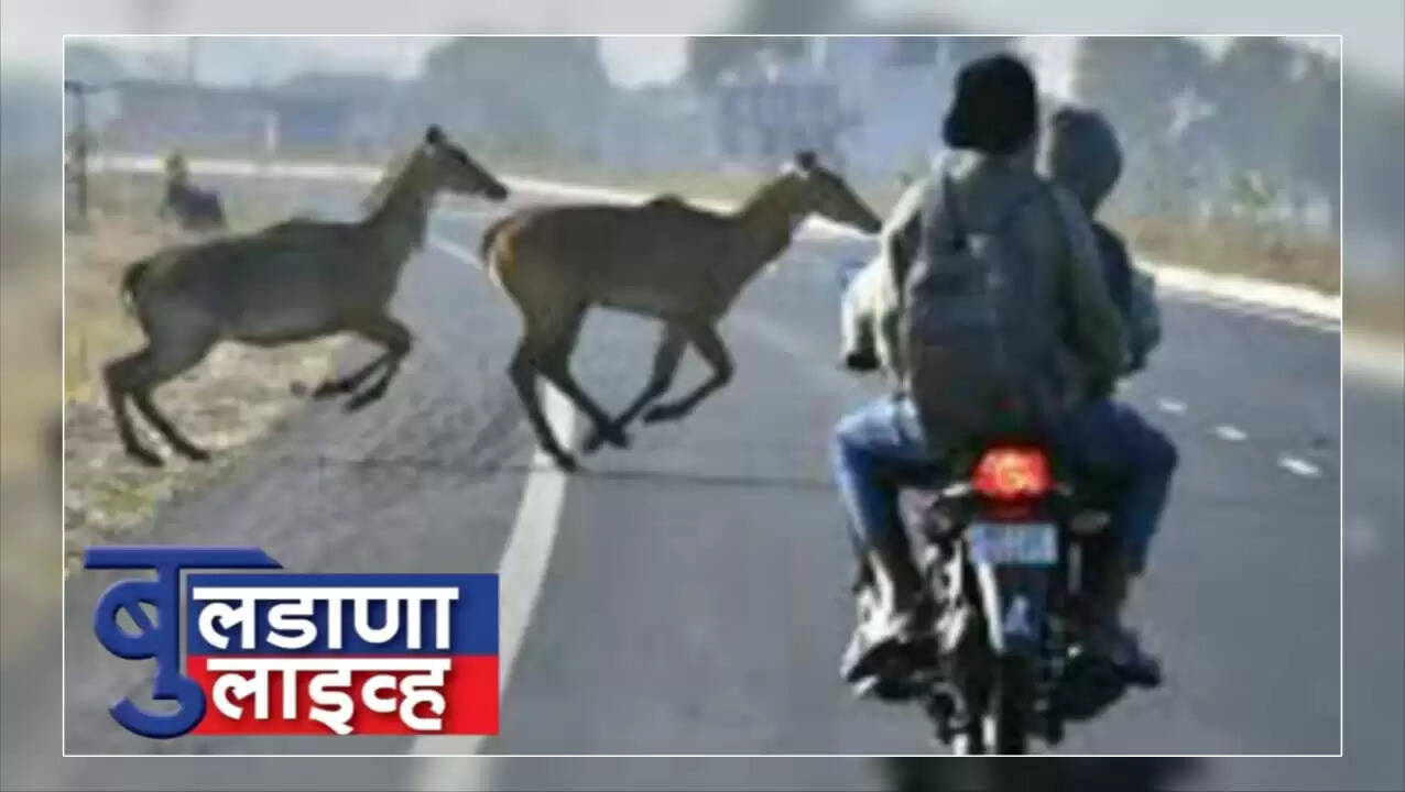 साखरखेर्डा 