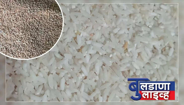 डोणगाव 