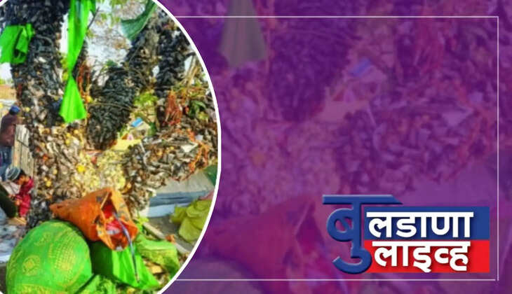 सैलानी 
