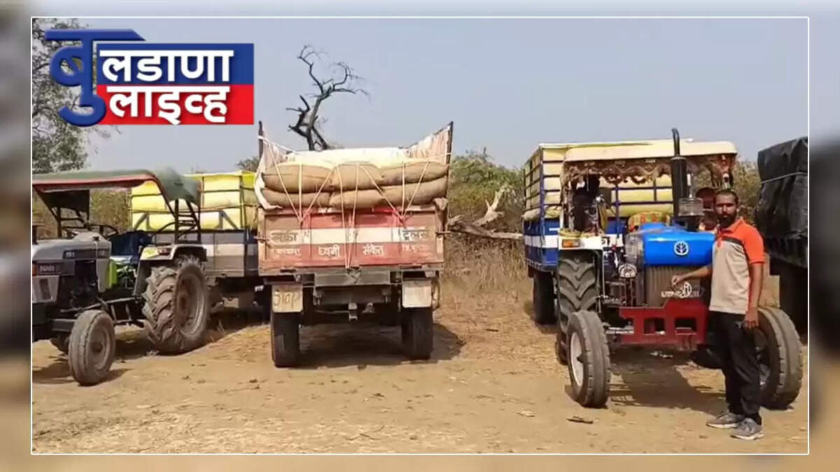 मोताळा