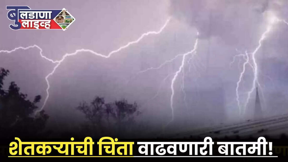 हवामान