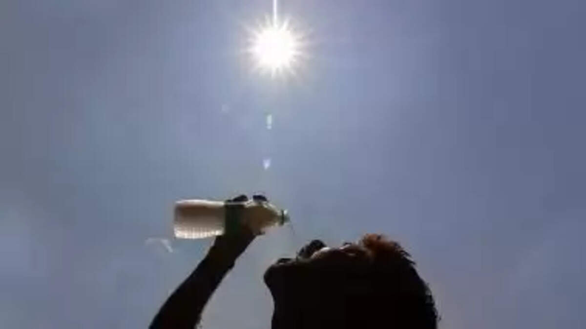 Pani 