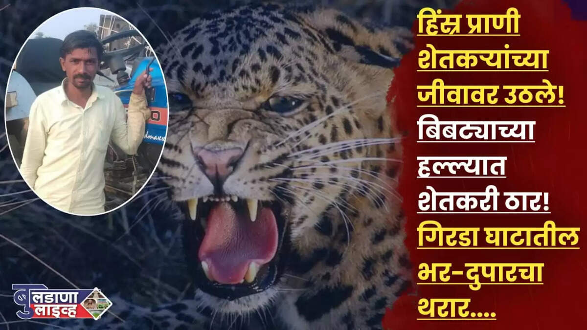 बिबट्या 
