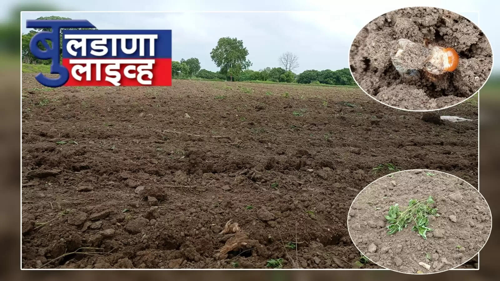 मेरा