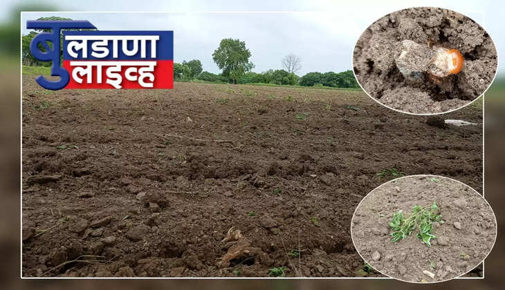 मेरा