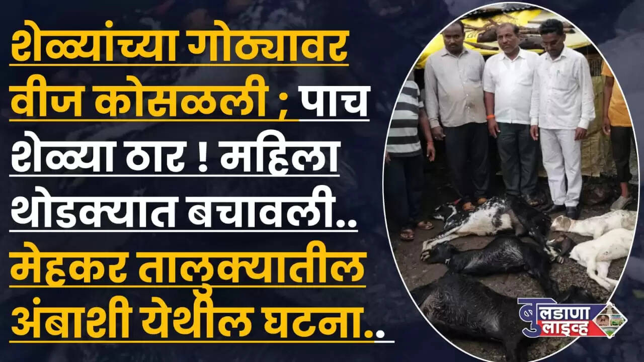मेहकर 