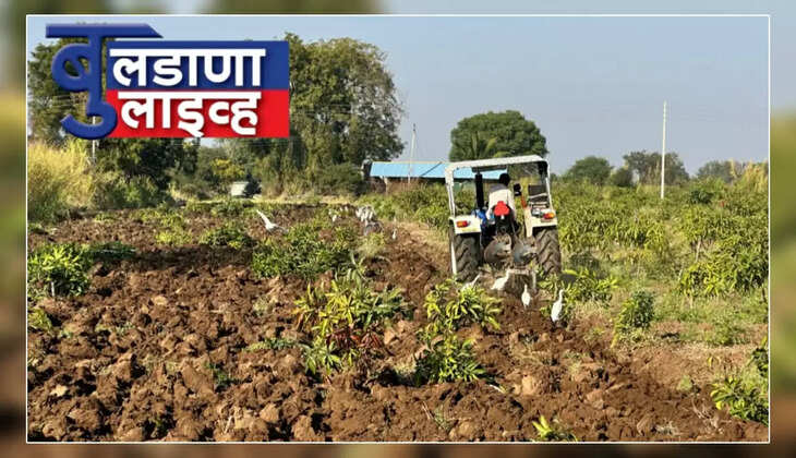चिखली 