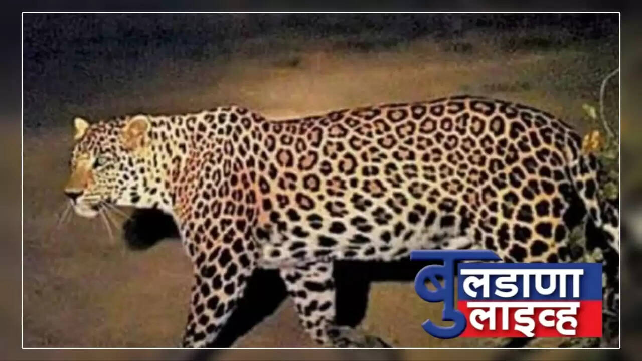 खामगाव