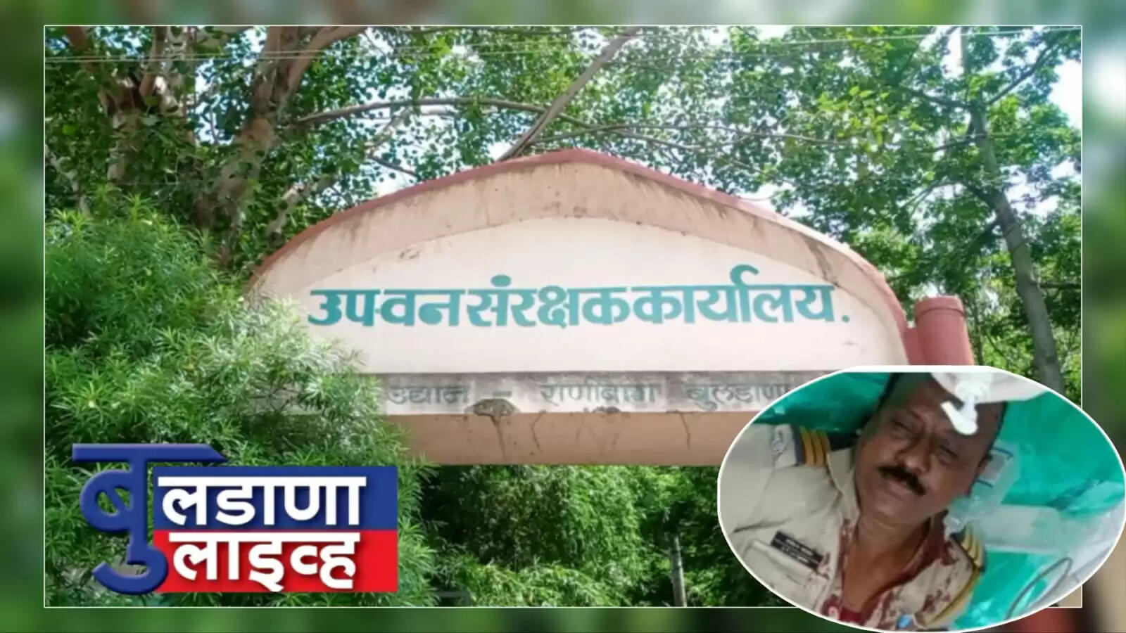 बुलडाणा