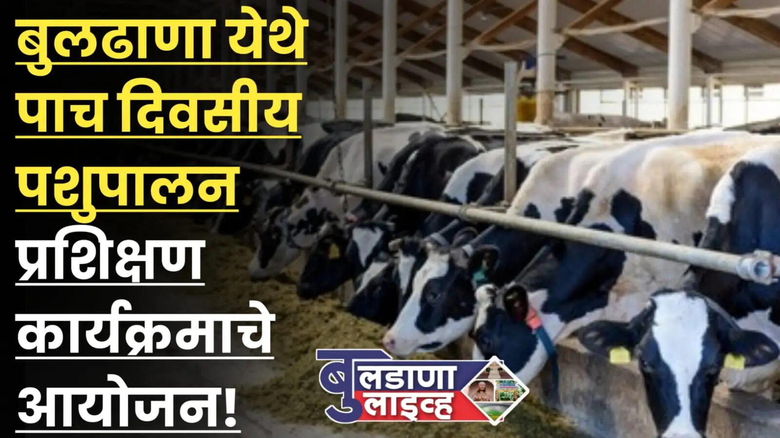 बुलढाणा 