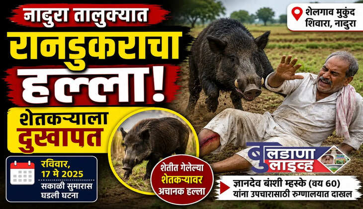 नांदुरा 
