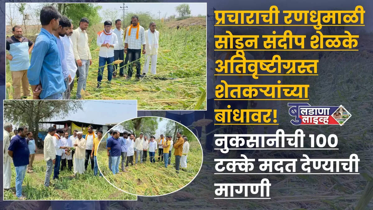 बुलडाणा