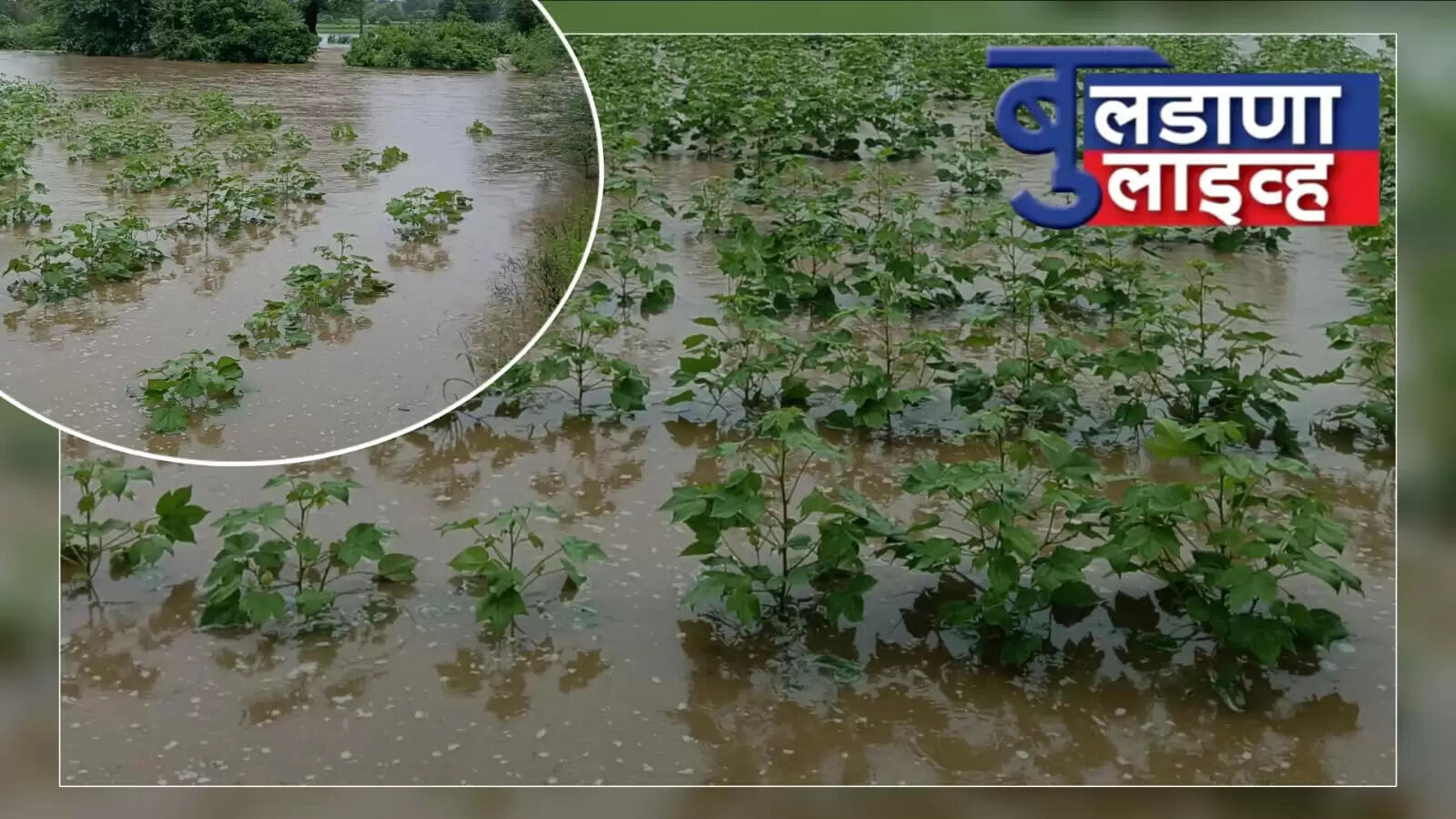  नुकसान 
