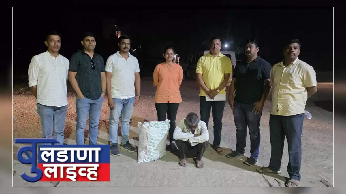 गांजा 