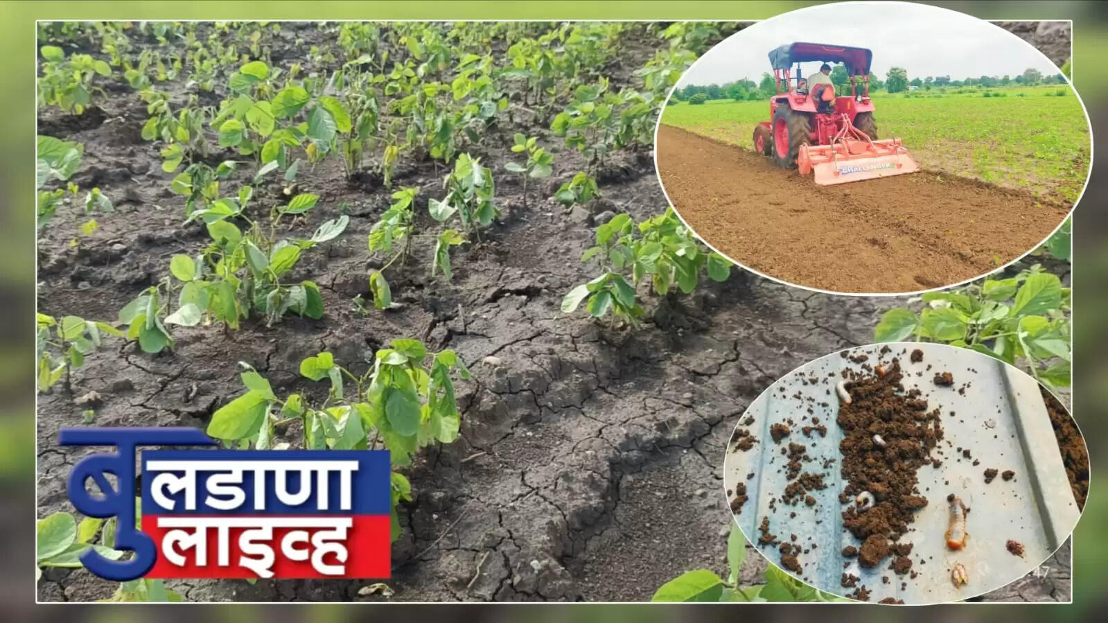 देऊळगाव घुबे 