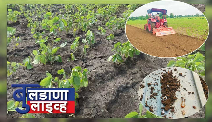 देऊळगाव घुबे 