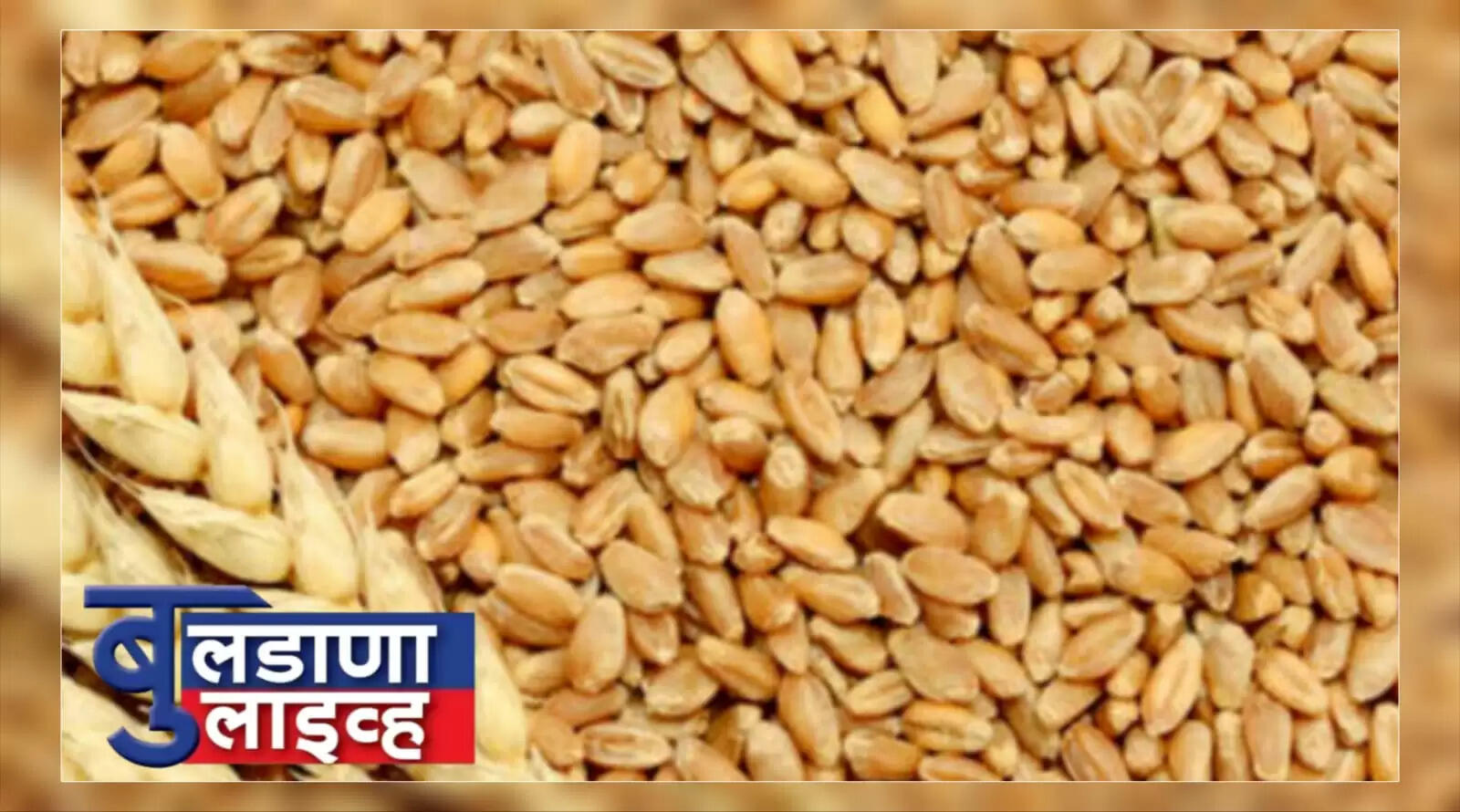 बुलढाणा