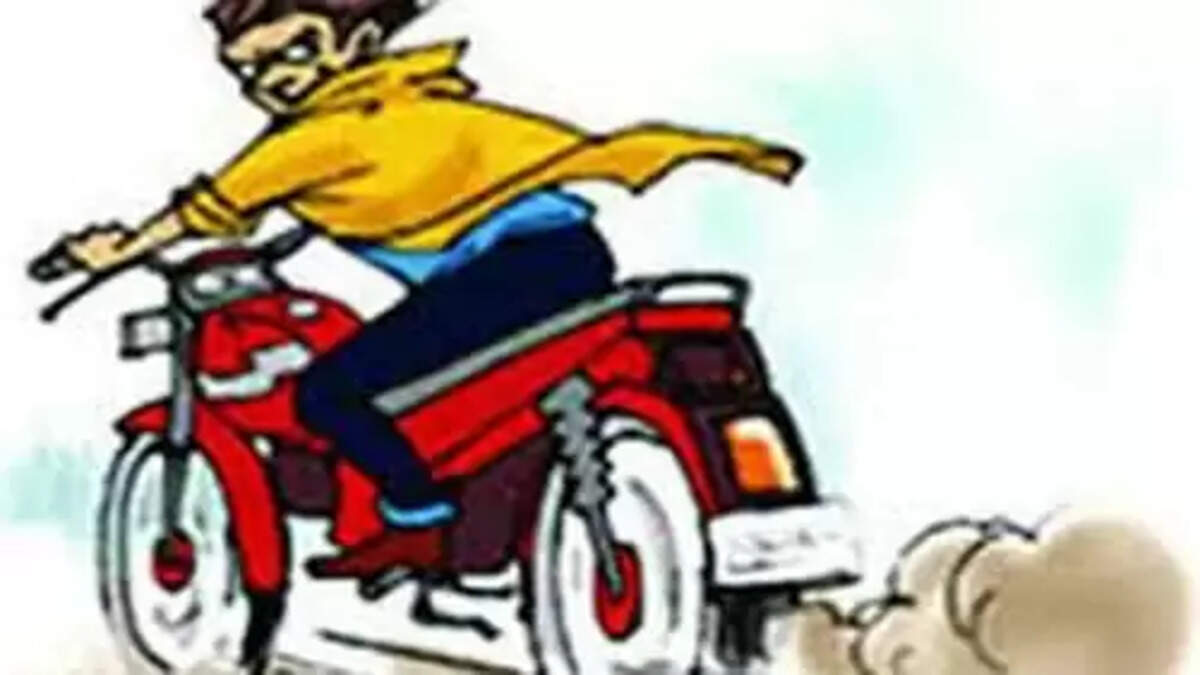 दुचाकी चोर