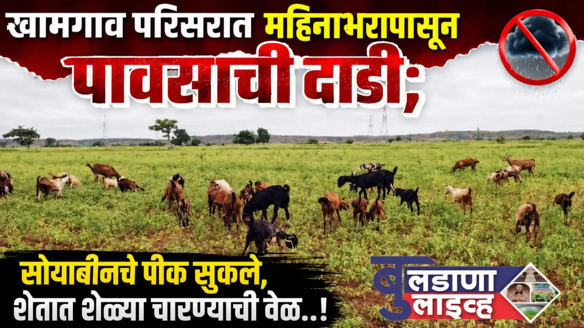 खामगाव 