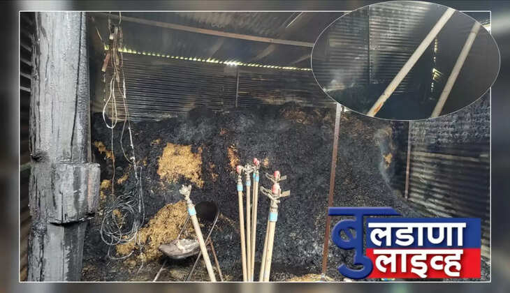 रायपूर 